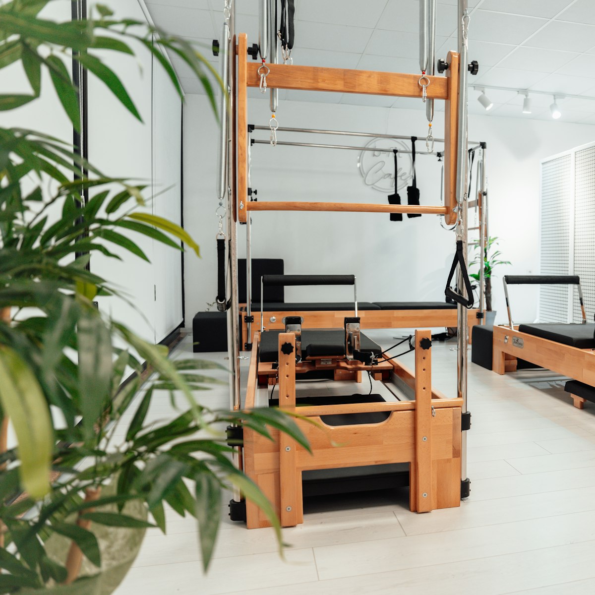 A bright pilates studio with wooden reformers and a plant in the foreground
